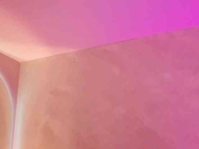 Carolalen webcam