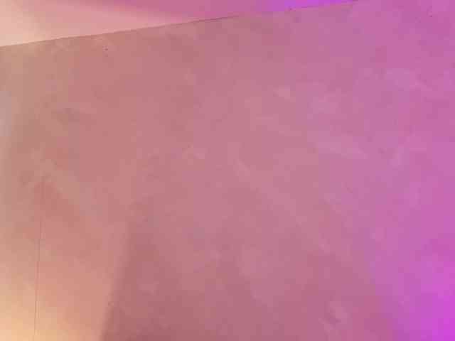 Carolalen webcam