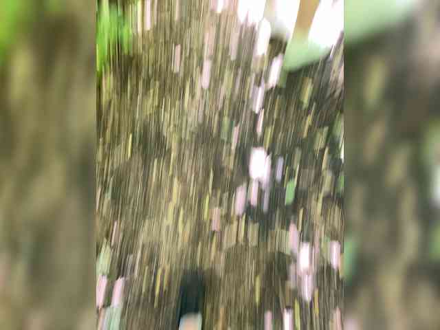 BelochkaX