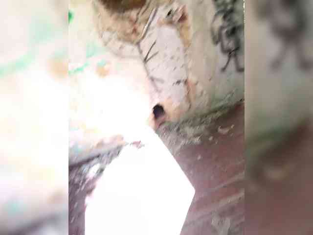 BelochkaX