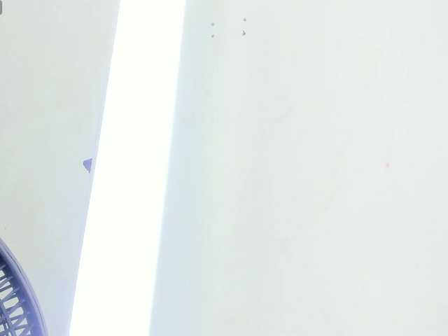 Afrodita-Roos live cam on BongaCams