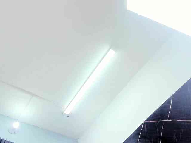 Afrodita-Roos webcam