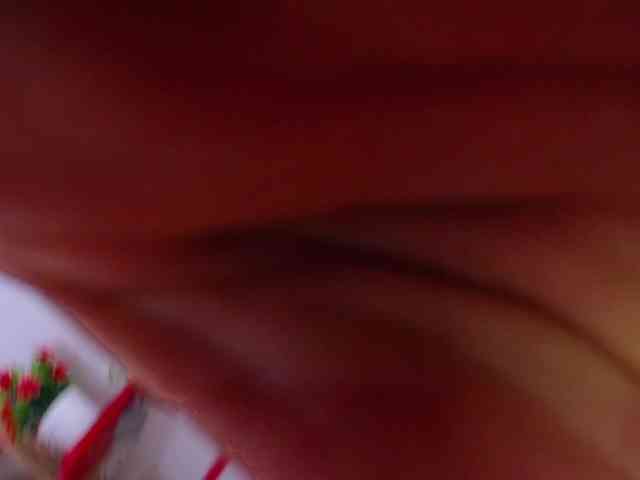francysbigcock