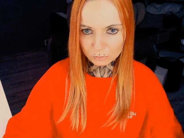 LisaModel