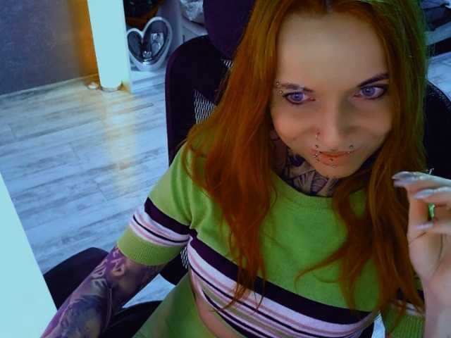 LisaModel