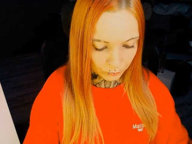 LisaModel