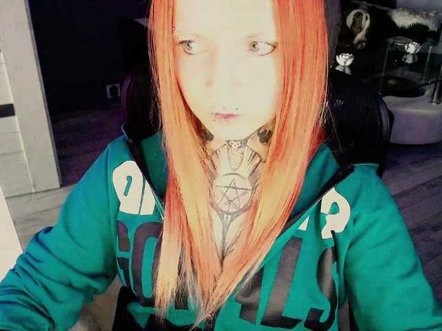 LisaModel