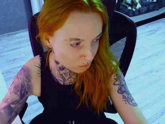 InesModel webcam