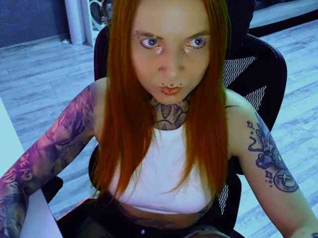 InesModel webcam