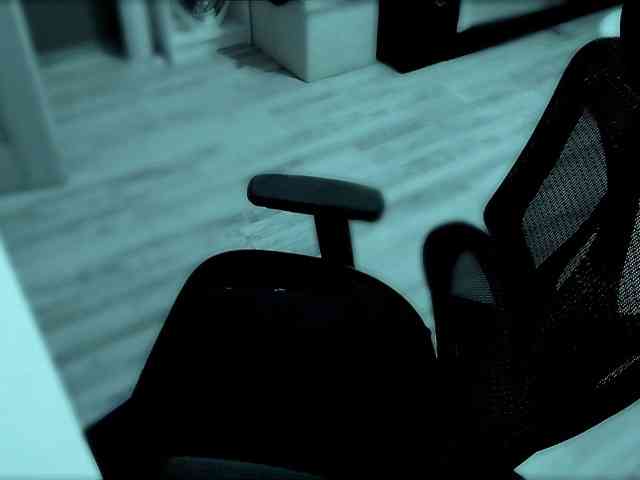InesModel webcam