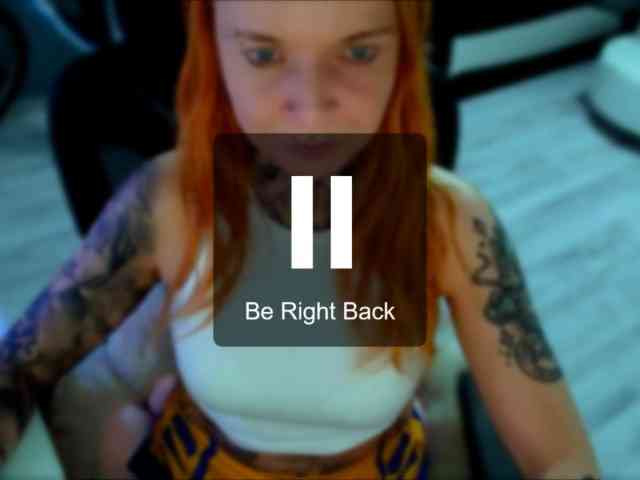 InesModel webcam