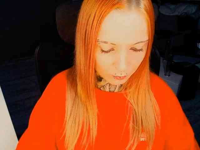 Model: InesModel