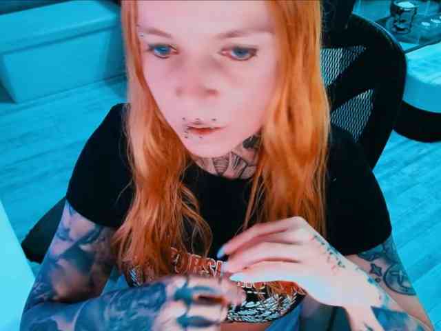 InesModel