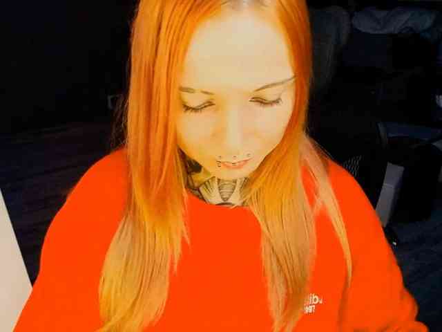 Model: InesModel