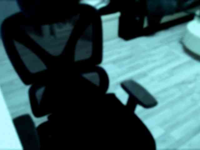 InesModel webcam