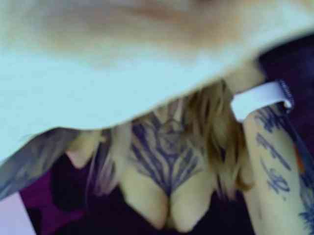 InesModel webcam