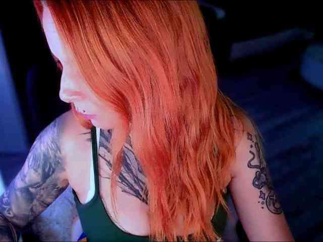 InesModel webcam