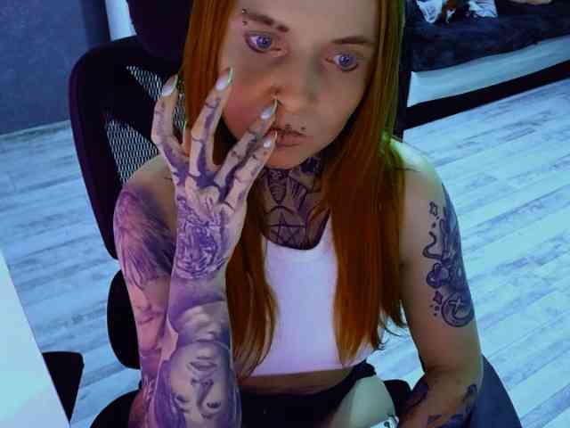 InesModel webcam