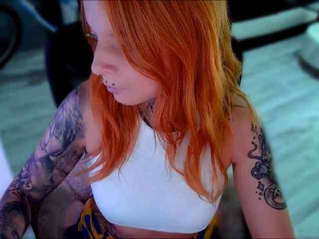 InesModel webcam