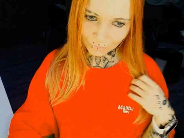 InesModel