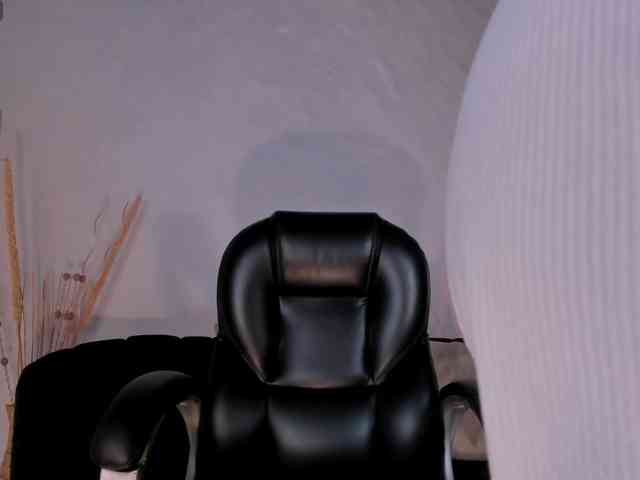 AbbyDalton webcam