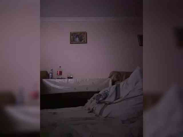 Kot-i-Koshkaa webcam