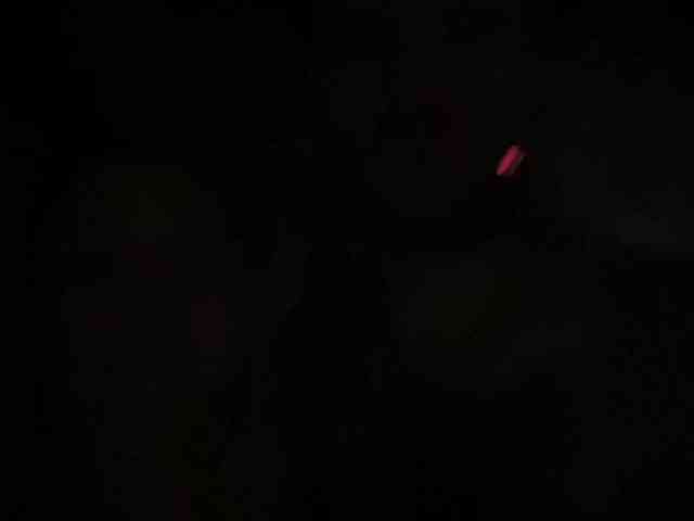 Kot-i-Koshkaa webcam