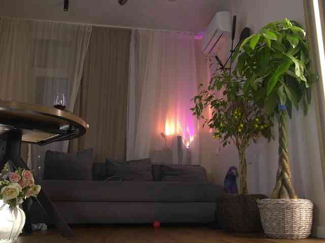 kateline webcam