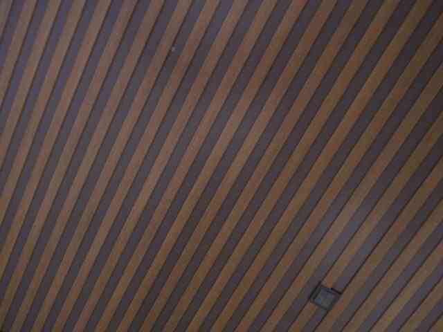kateline webcam