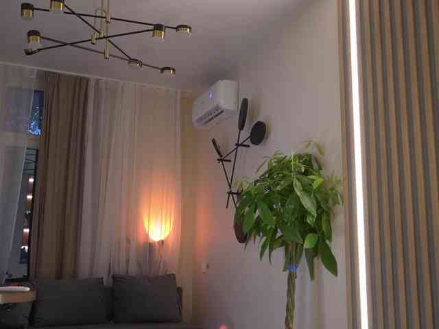 kateline webcam