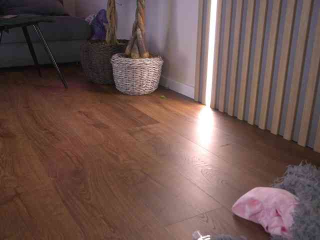 kateline webcam