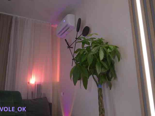 kateline webcam