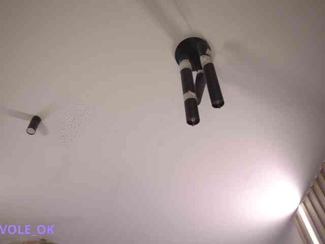 kateline webcam