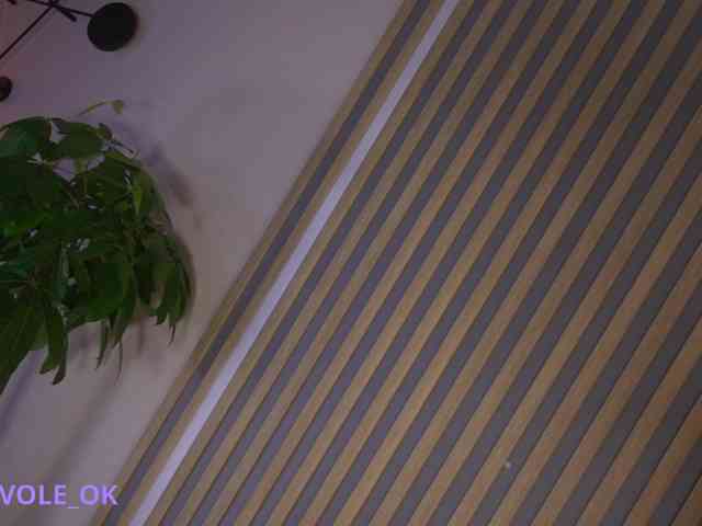 kateline webcam