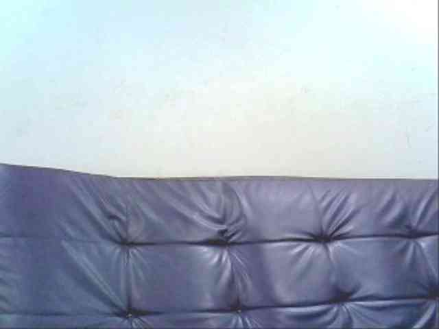 Model: swaness10