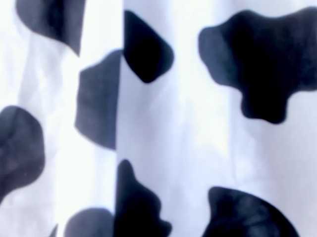 xionelagatee live cam on BongaCams