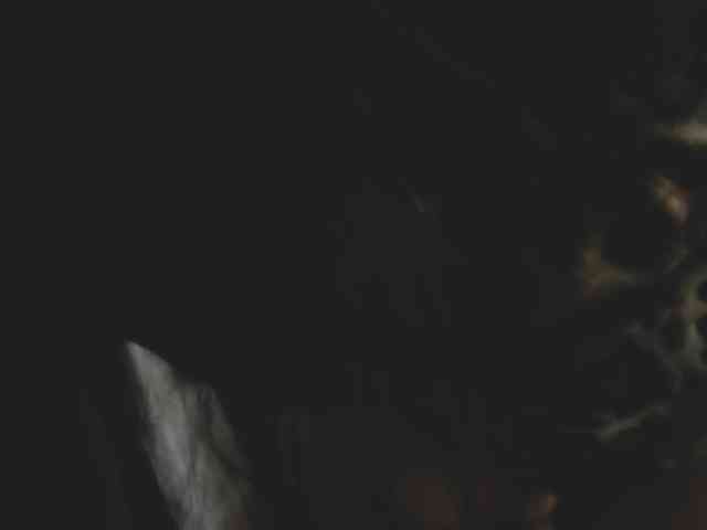 xionela webcam