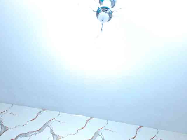 xionela webcam