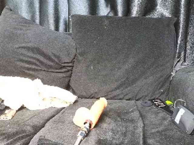 Assiology webcam