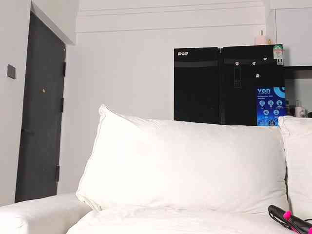 Assiology webcam