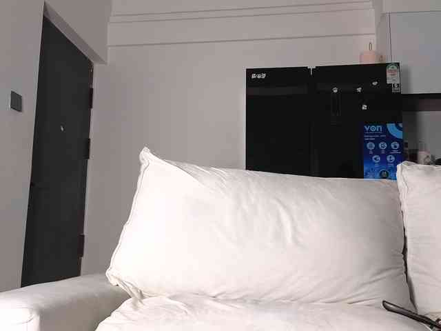 Assiology webcam