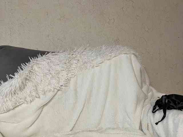 Libi webcam