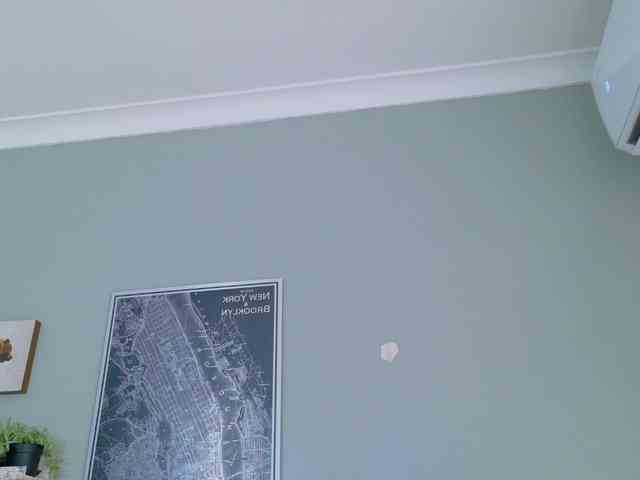 Kendalmiller webcam