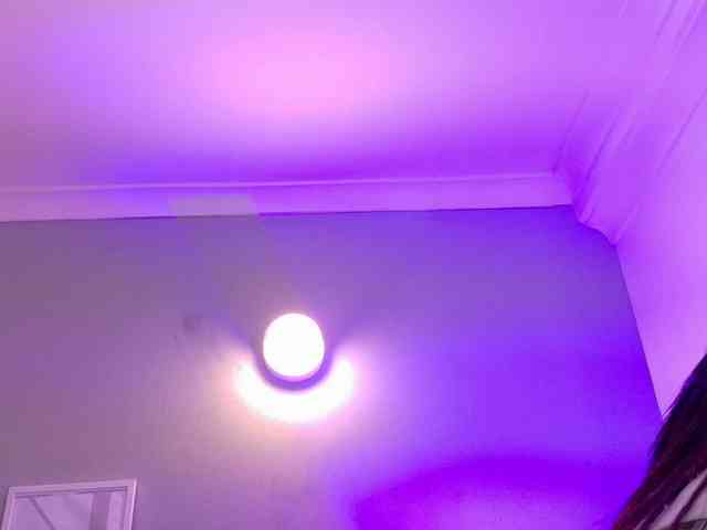 Kendalmiller webcam