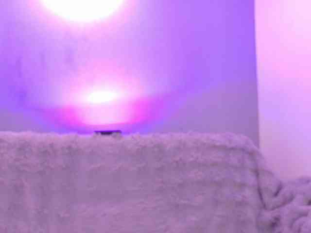 Kendalmiller webcam