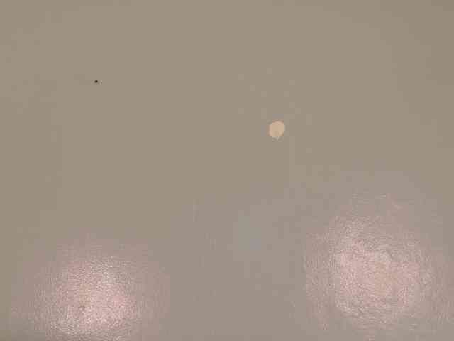 Kendalmiller webcam