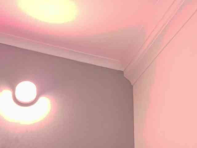 Kendalmiller webcam