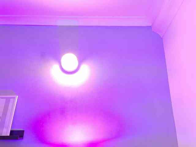 Kendalmiller webcam