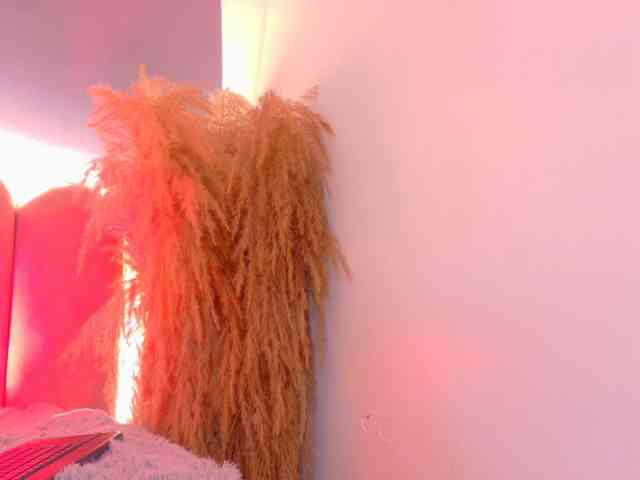 Kendalmiller webcam