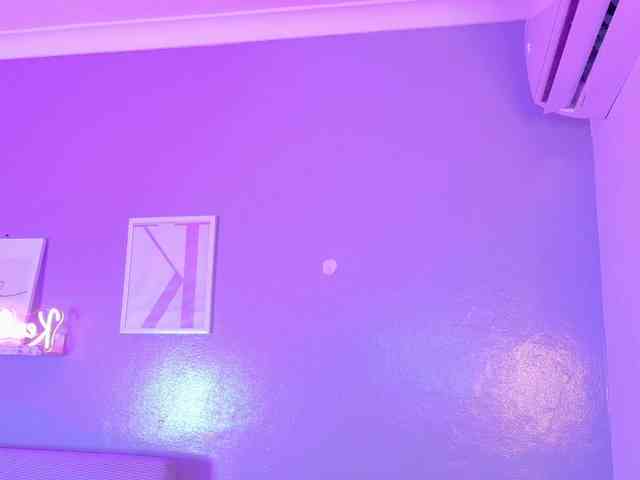 Kendalmiller webcam